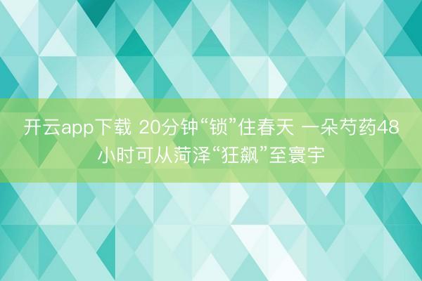 开云app下载 20分钟“锁”住春天 一朵芍药48小时可从菏泽“狂飙”至寰宇